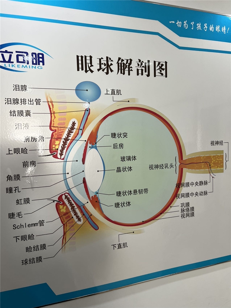 環(huán)境/教學(xué)